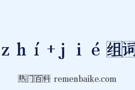 zhí+jié组词是什么意思的图片